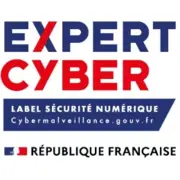 Expert Cyber